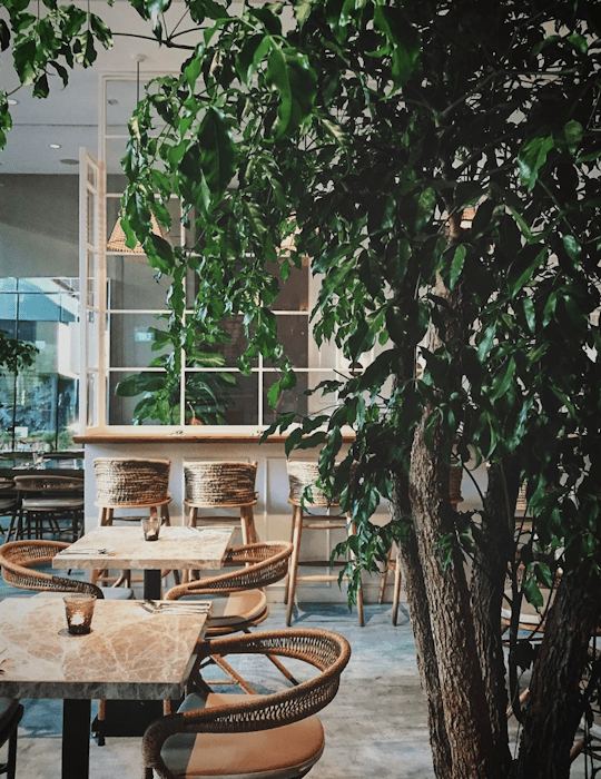 Coastal Elegance at Fynn’s Singapore Restaurant is meticulously crafted and designed by studio Königshausen. Indulge in a culinary journey at our light lunch and dining destination, where contemporary coastal design takes centre stage.  